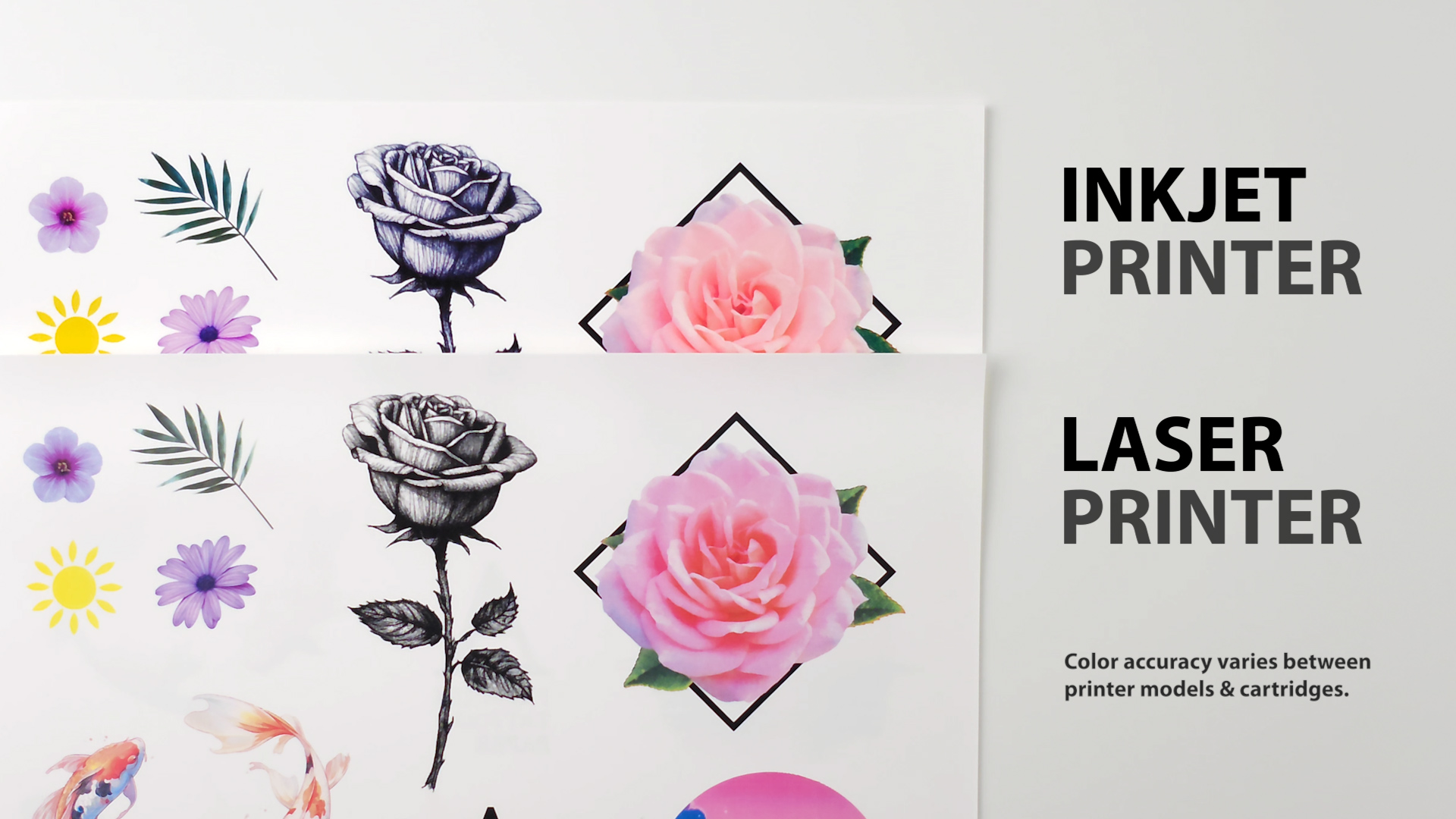 <strong>Inkjet / Laser Comparison</strong> Design, Photography and Editing.